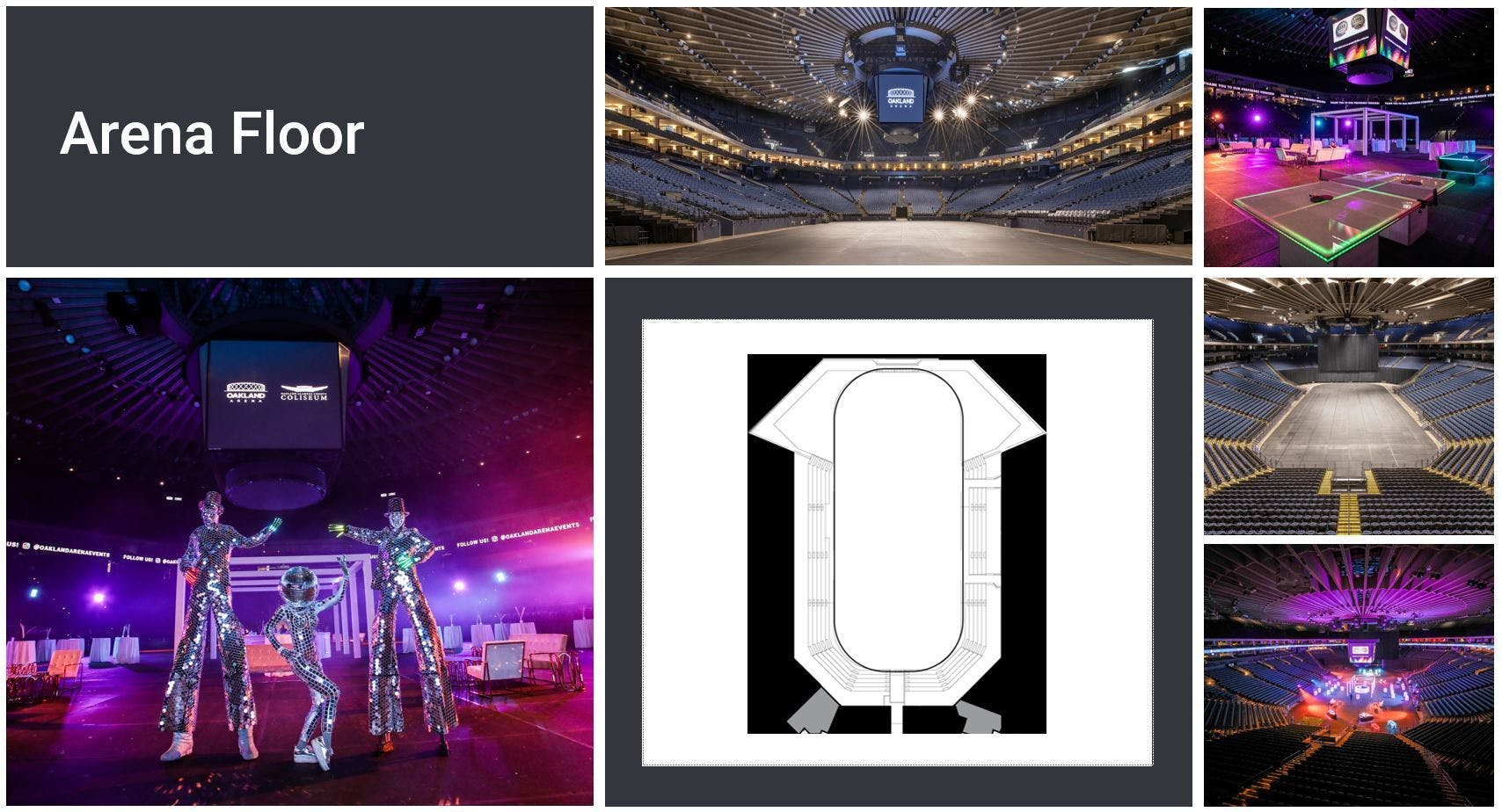 THE ALFEE FILE ARENA 37℃ THE ALFEE FILE ARENA37℃ THE ALFEE FILE ARENA37℃ SCENE 1983.5