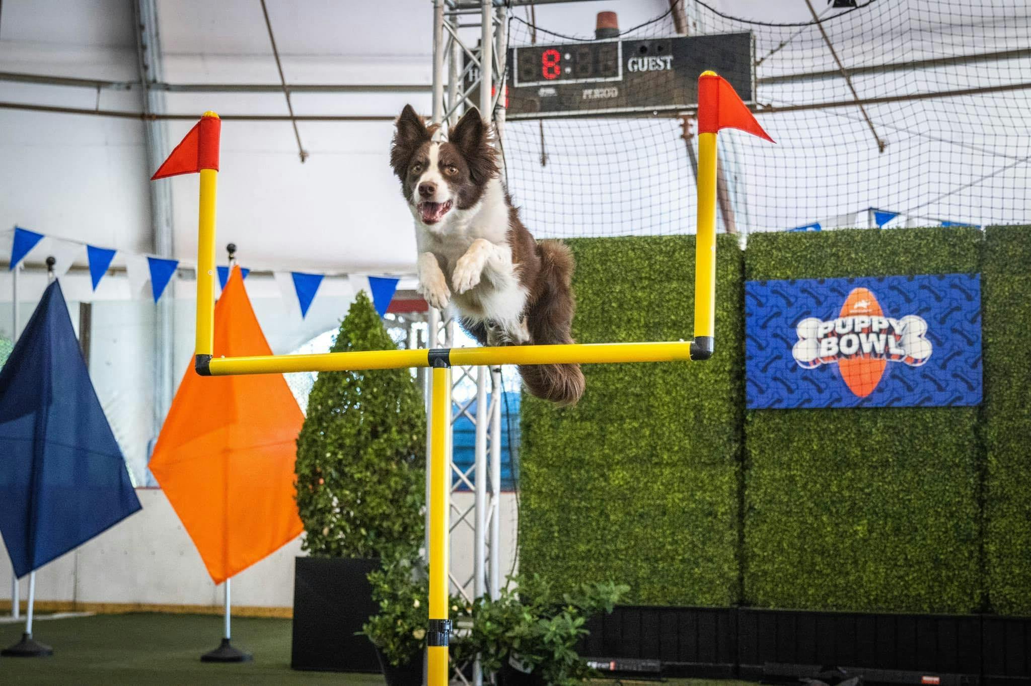 Featured photo from Event Photos