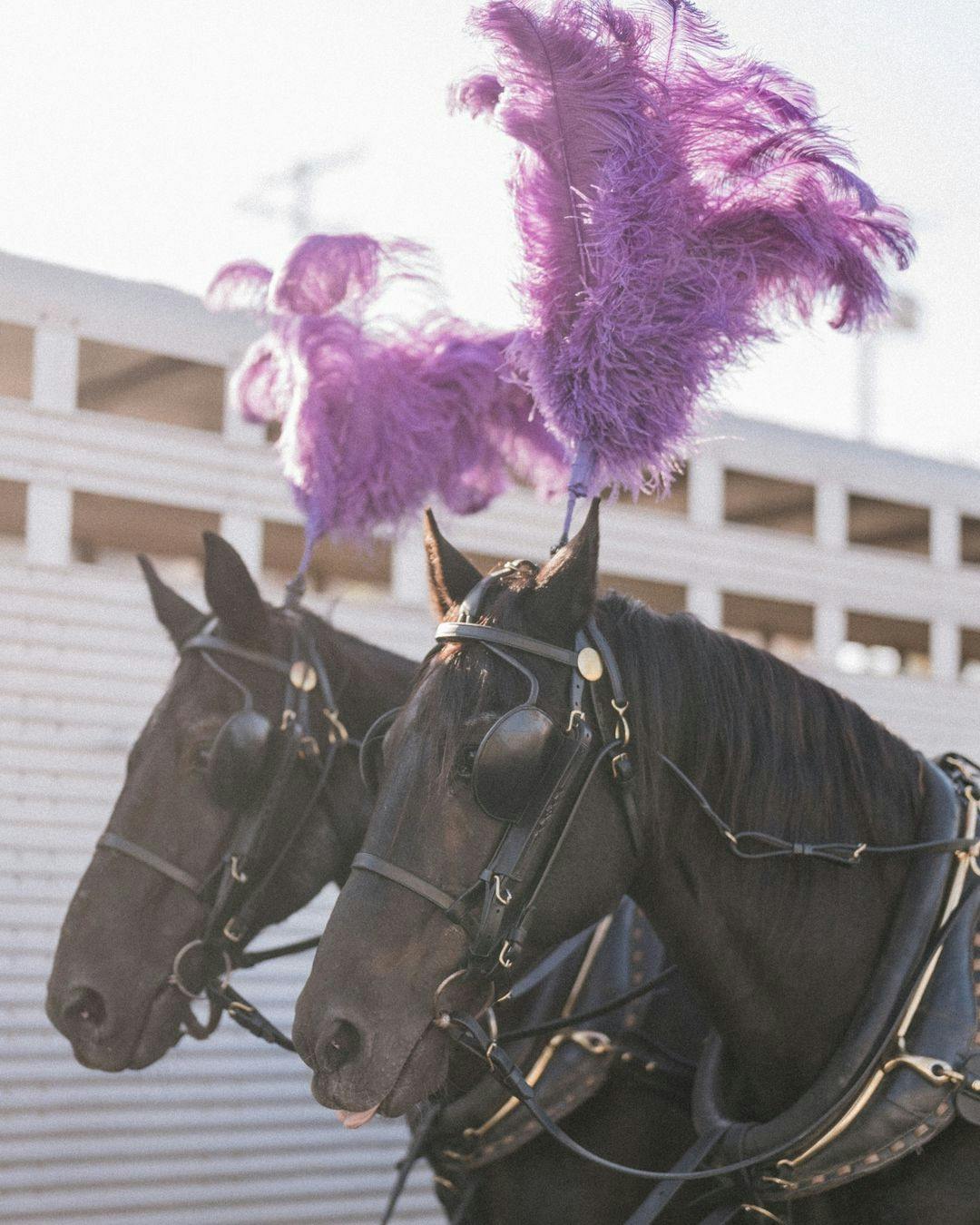 Saved Photo from Revelry Event Designers