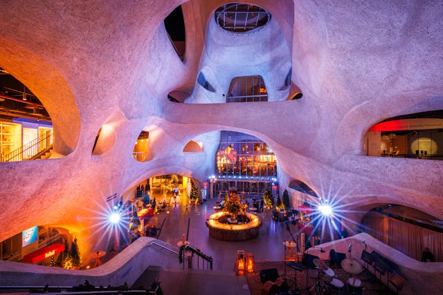 Featured photo from Cozy Winter Holiday Event in Natural History Museum