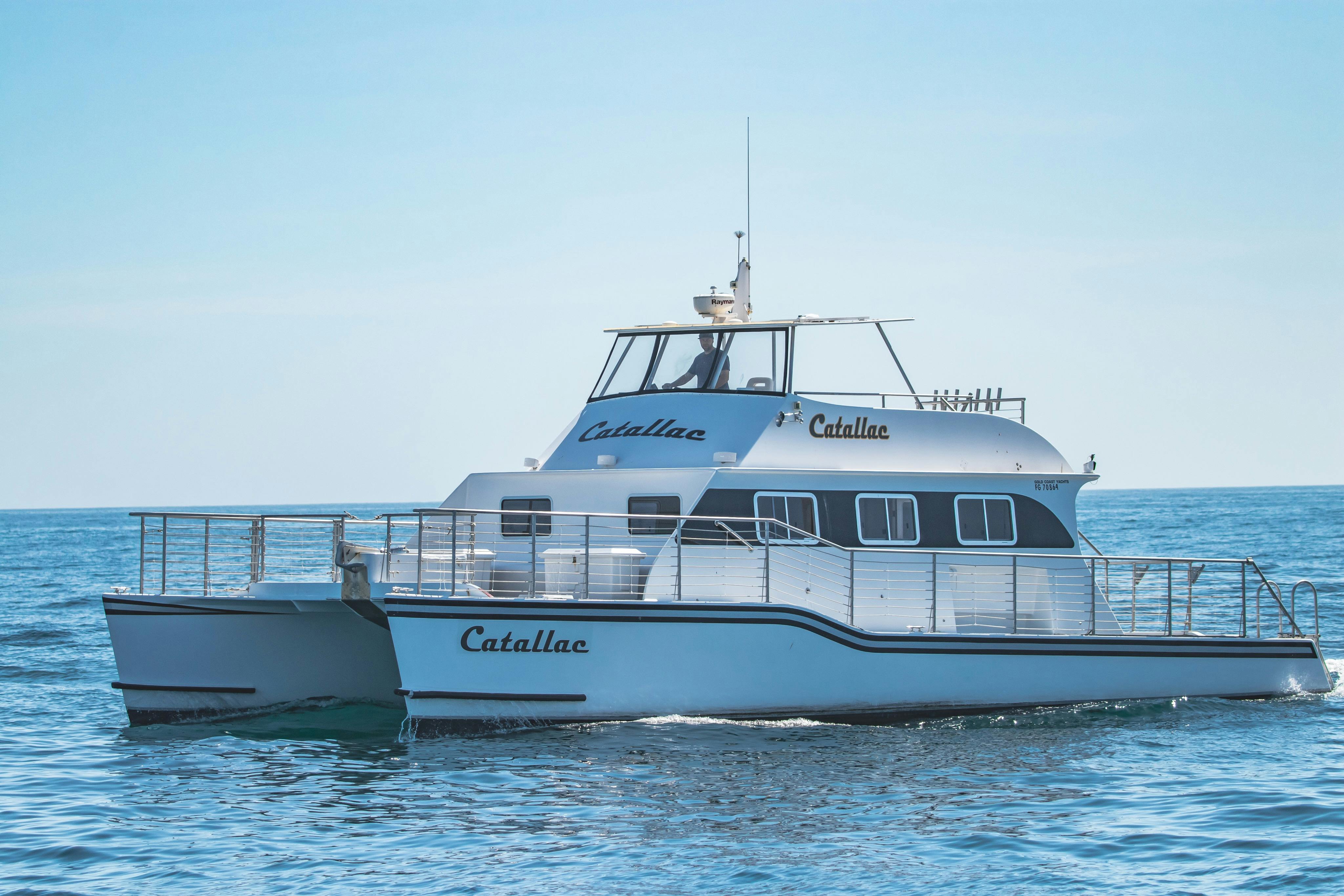 Featured photo from The Catallac