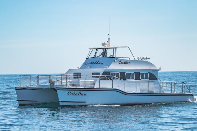 Featured photo from The Catallac