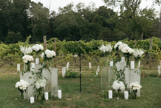 Featured photo from This Elegant Vineyard Wedding at Renault Winery Was Meant To Be