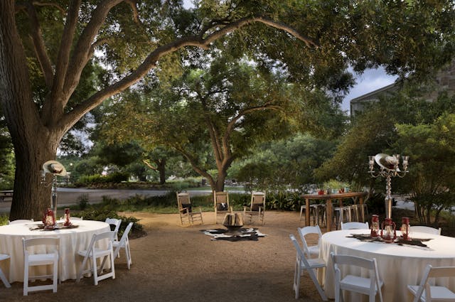 Featured photo from Shady Grove