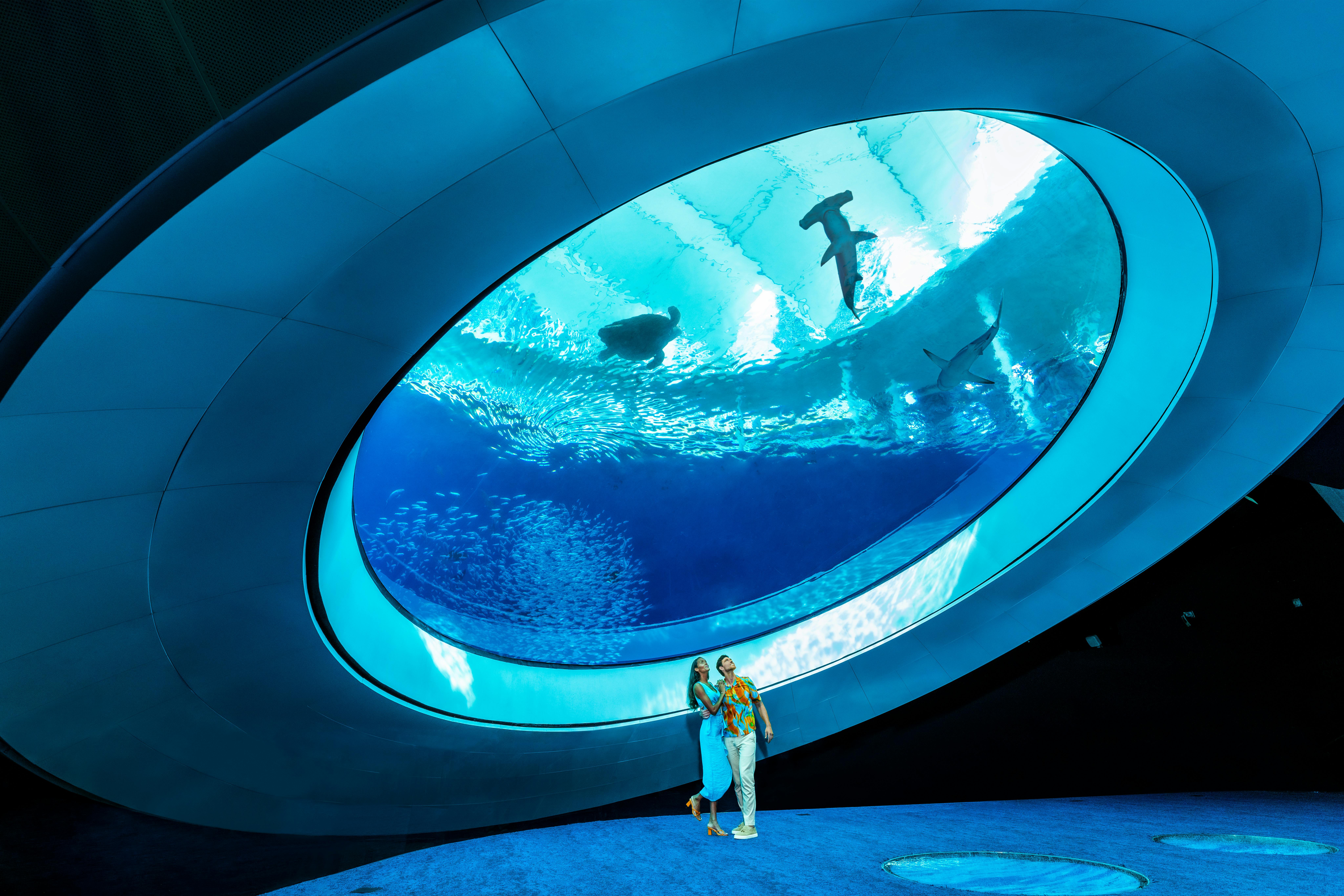 Aquarium - Deep, an event space at The Phillip and Patricia Frost Museum of Science