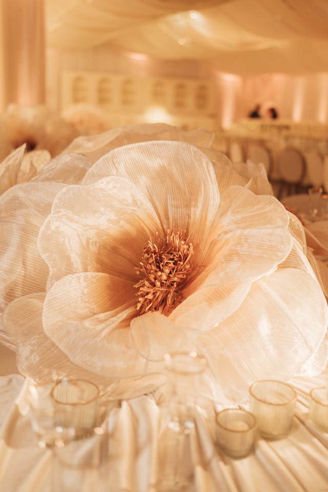 Featured photo from Bhavin & Shine: Where Love Meets Punjabi Grandeur