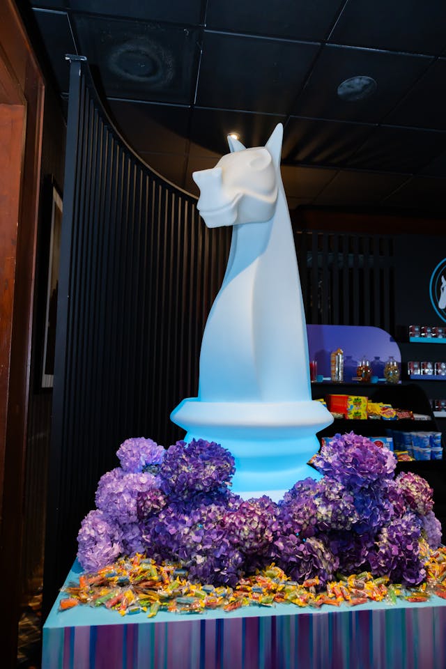 Featured photo from Ella and Luca's Bat Mitzvah Party