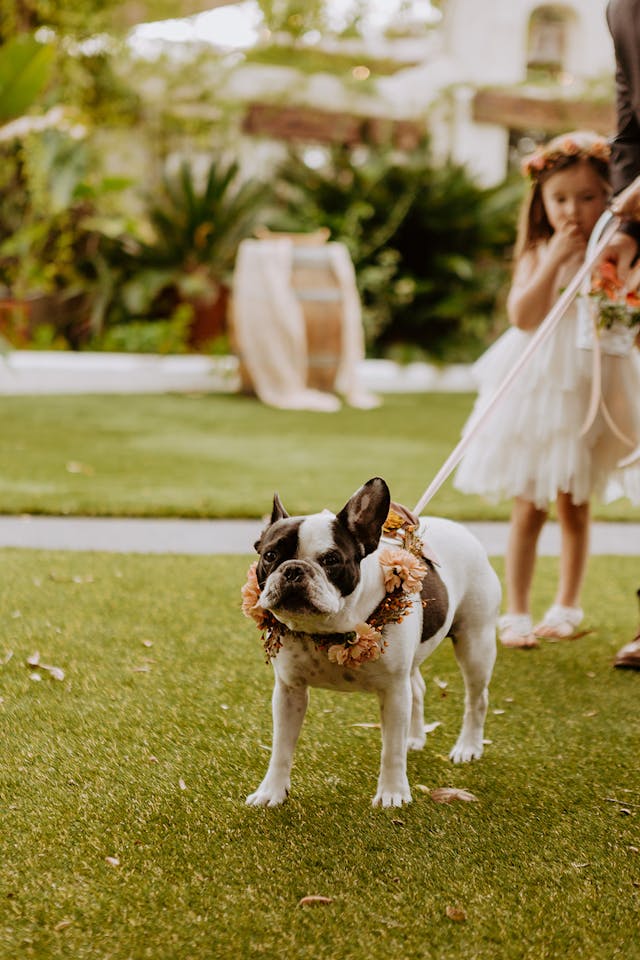 Featured photo from San Diego Wedding