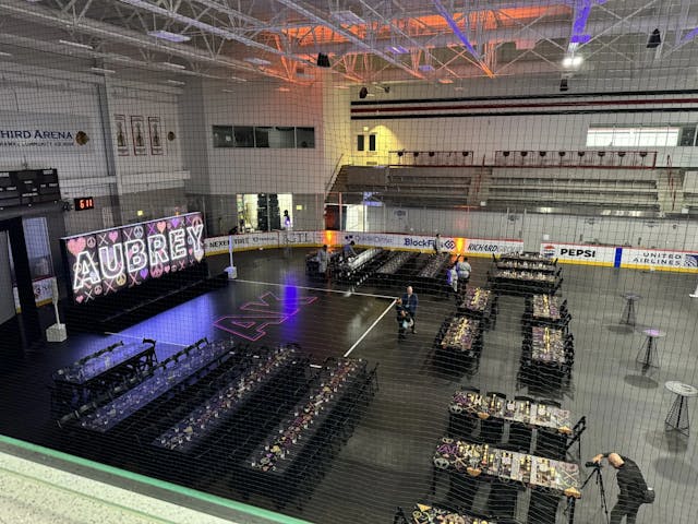 Featured photo from The Ice Rinks / Ice Covered Events