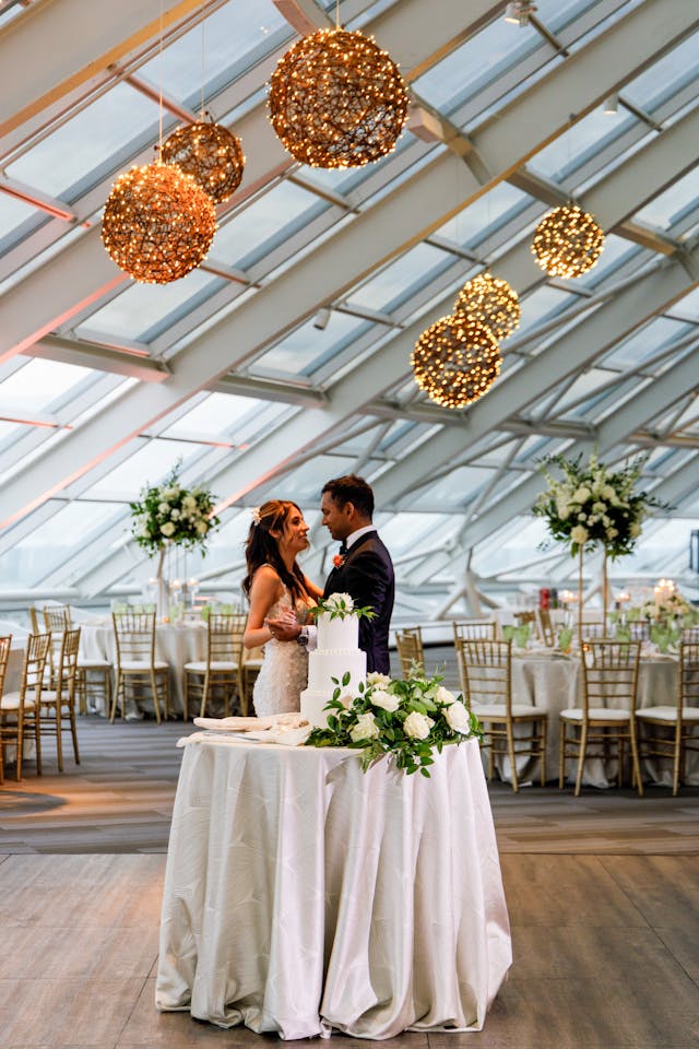 Featured photo from Under the Grapevine Lights at Adler Planetarium