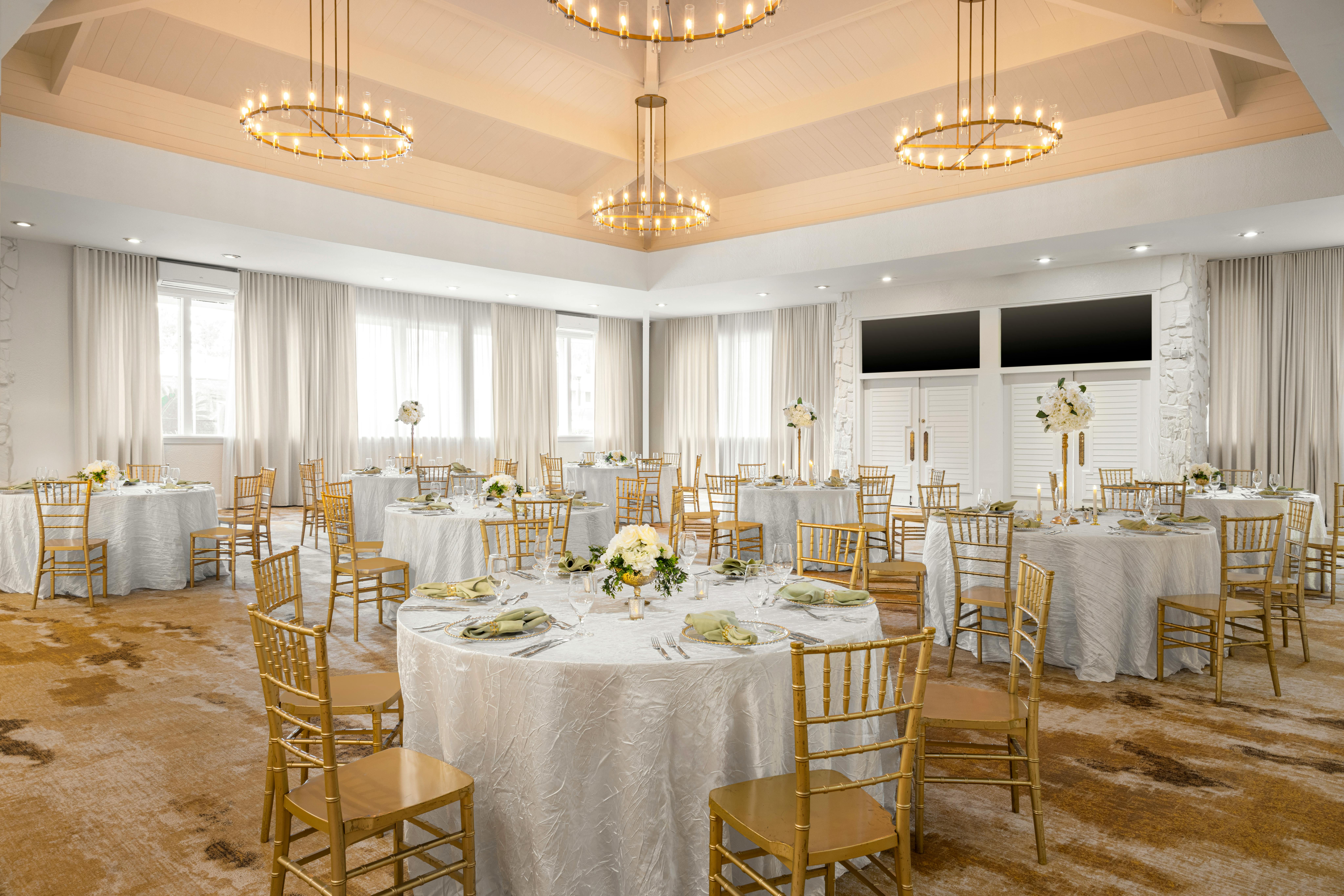 Featured photo from Pegasus South