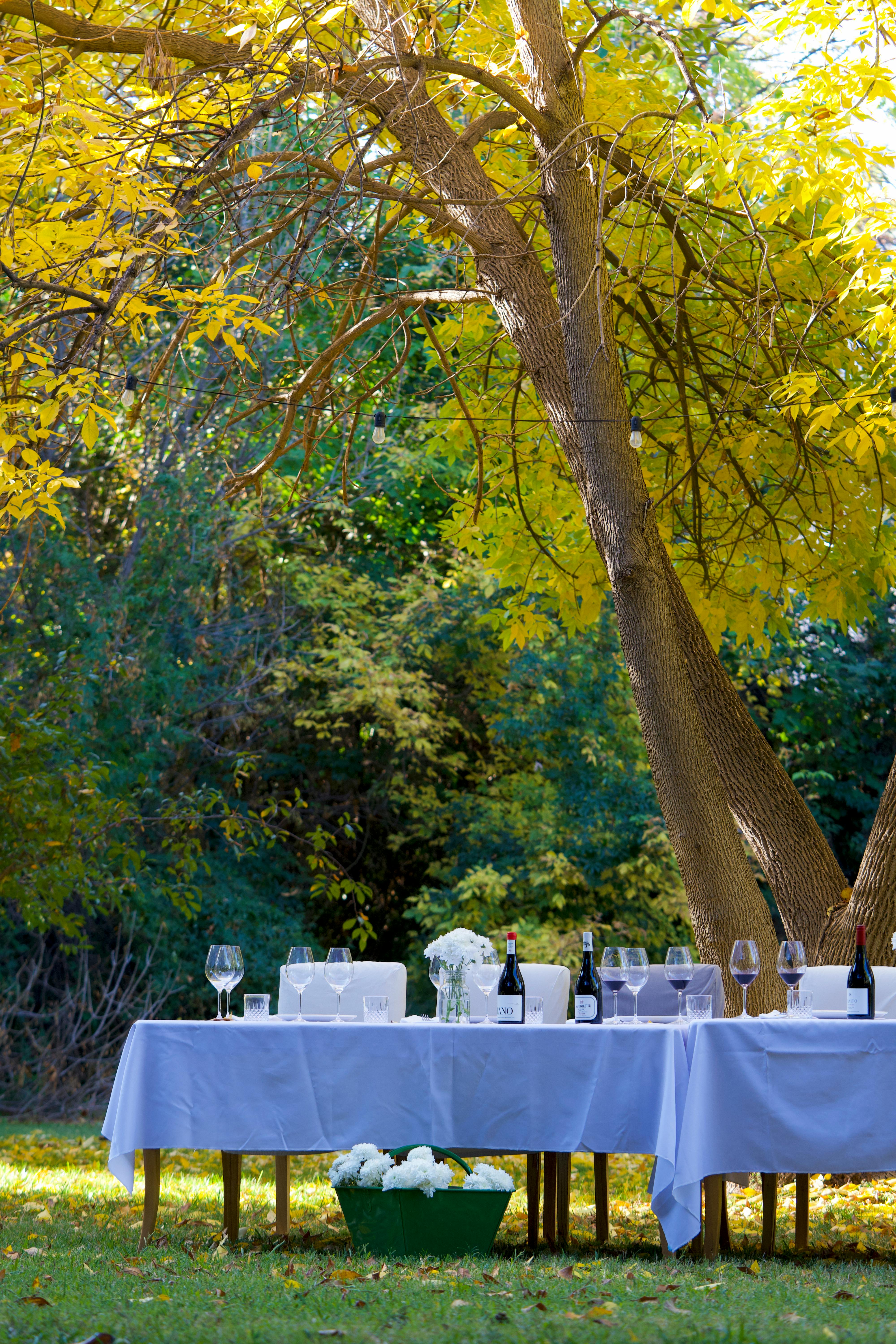 Featured photo from South Garden