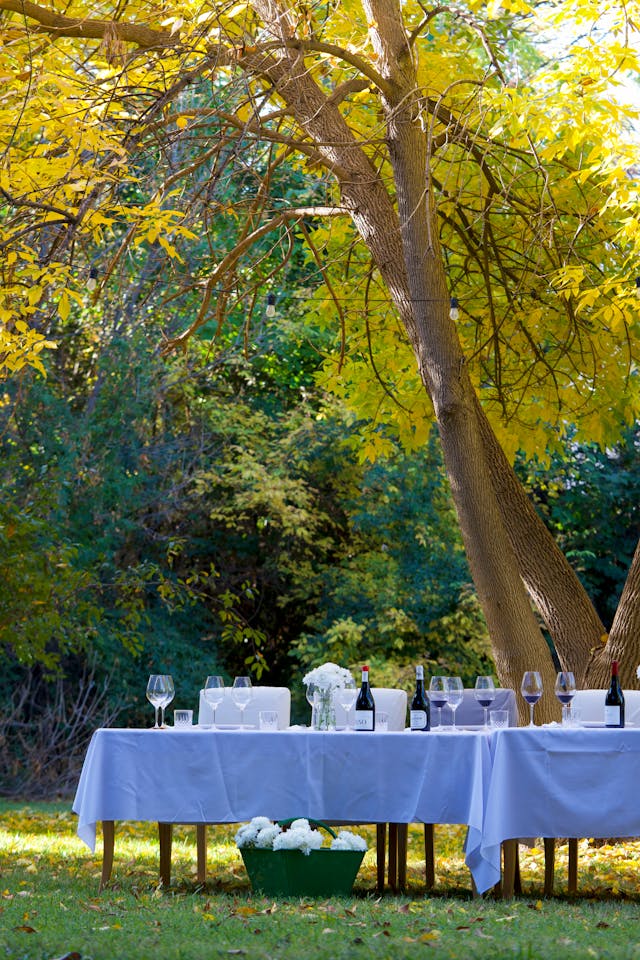 Featured photo from South Garden