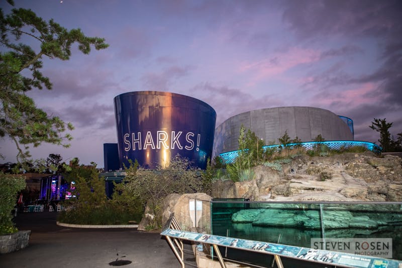 New York Aquarium - Photo Ba1b7258 5151 4Dab 8D6b 622c0458b393.jpg?w=1200&h=630&fit=crop&crop=faces%2CeDges&ixlib=js 2.3