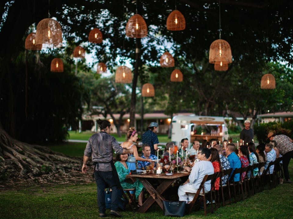 Featured photo from The Branches