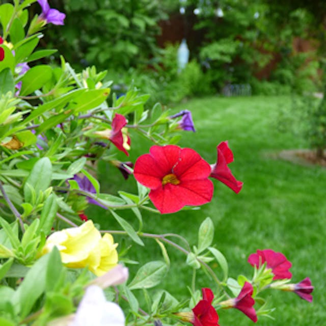 Featured photo from Small Party Venue