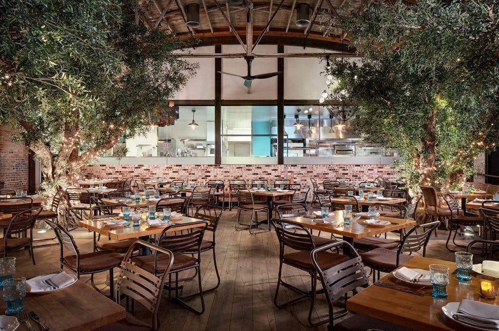 Full Restaurant Herringbone La Jolla PartySlate