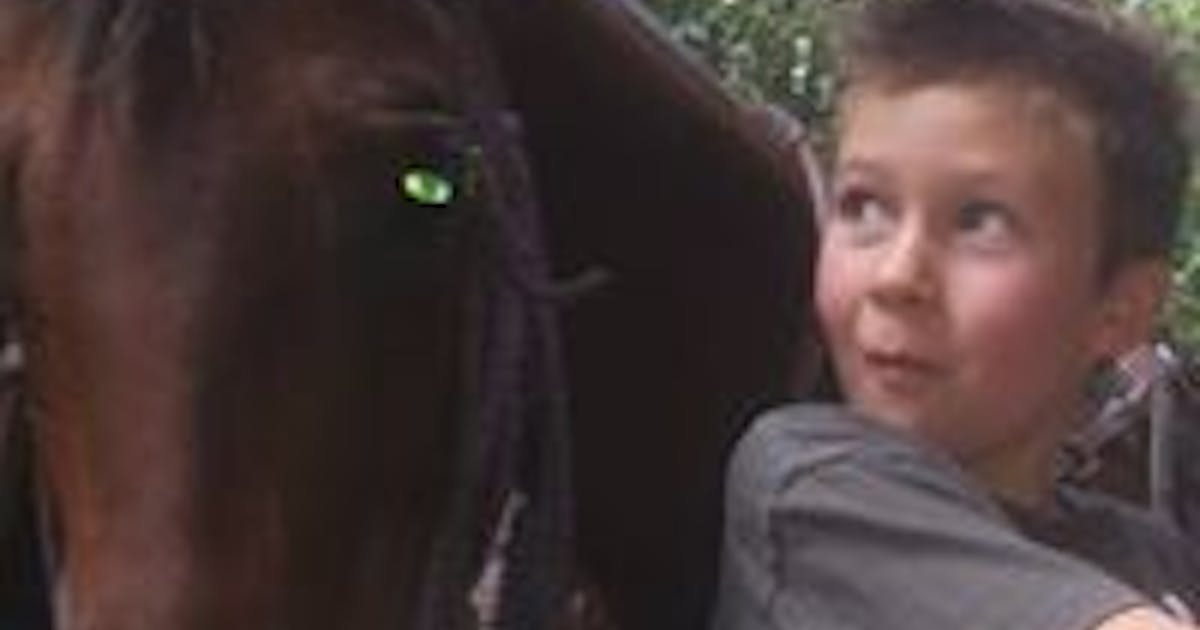 Photo 7f6153f3 06b3 4cec 9724 49eabe779034 jpg ixlib rails 2 1 4 w 1200 photo-7f6153f3-06b3-4cec-9724-49eabe779034-jpg-ixlib-rails-2-1-4-w-1200