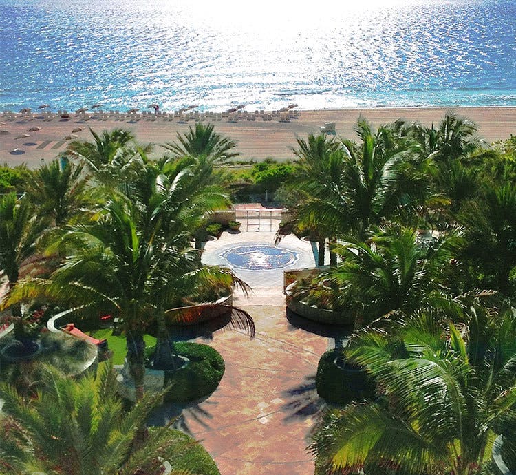 Photo of Palm Court