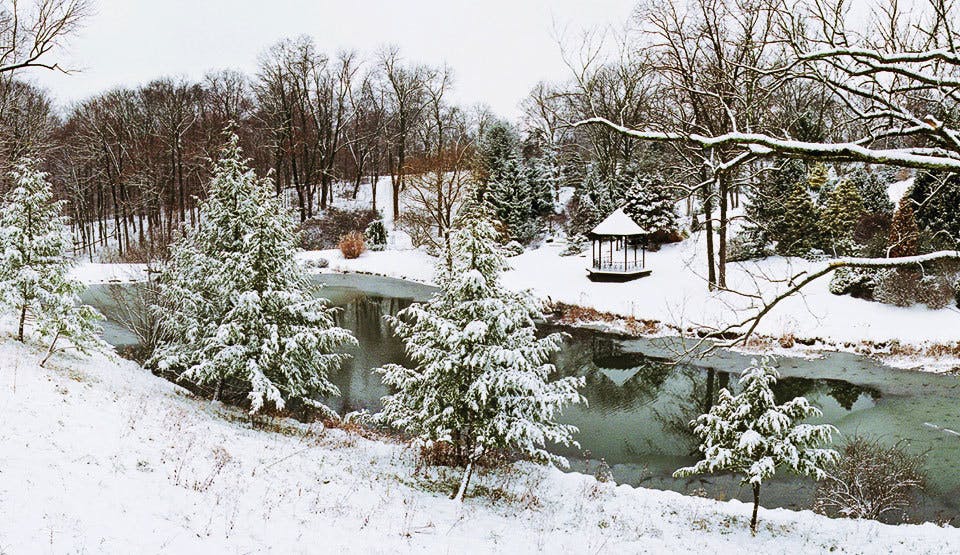 Photo of Maple Ridge Lodge