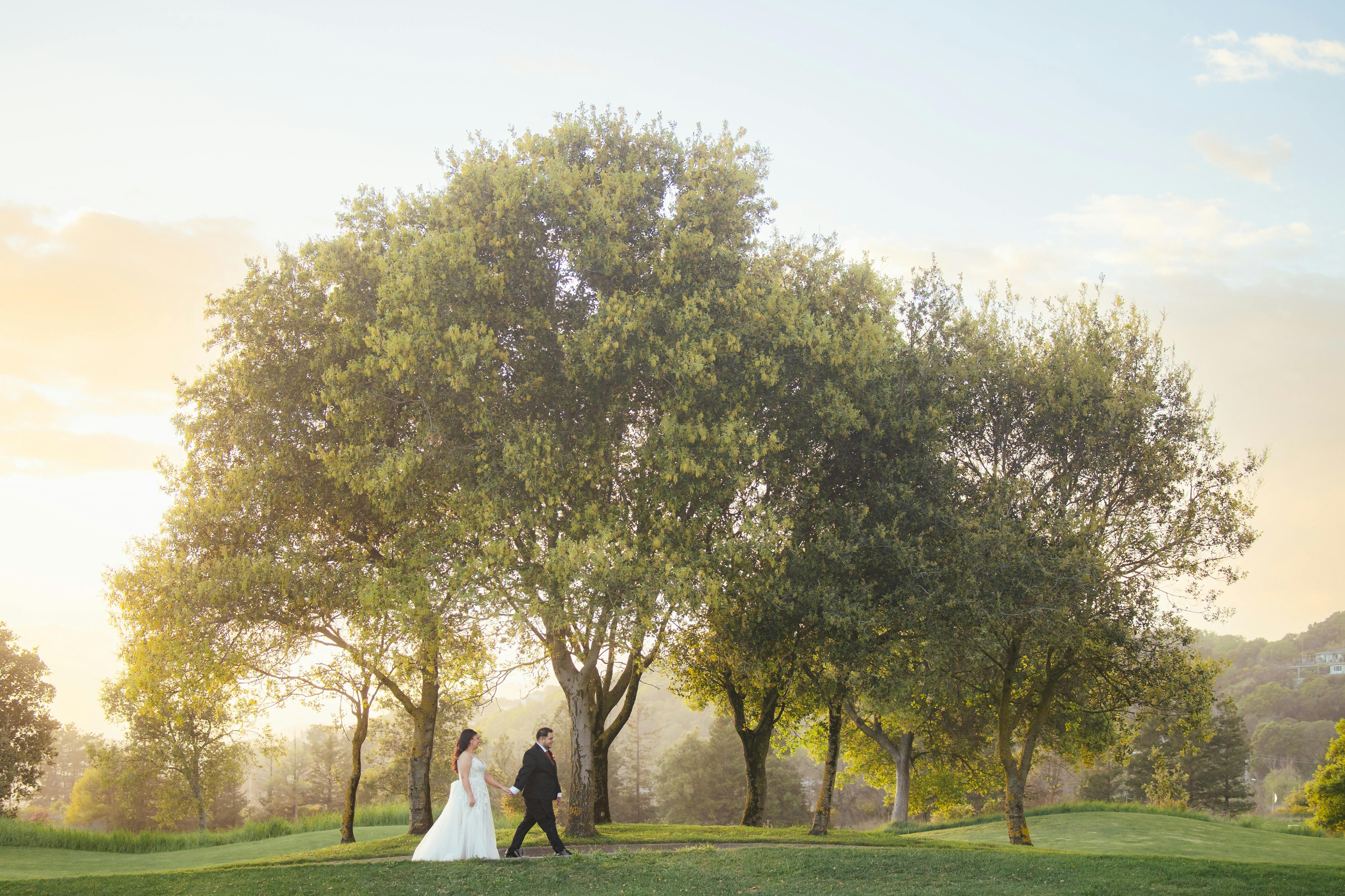 Property & Grounds, an event space at Stonetree Estate by Wedgewood Weddings