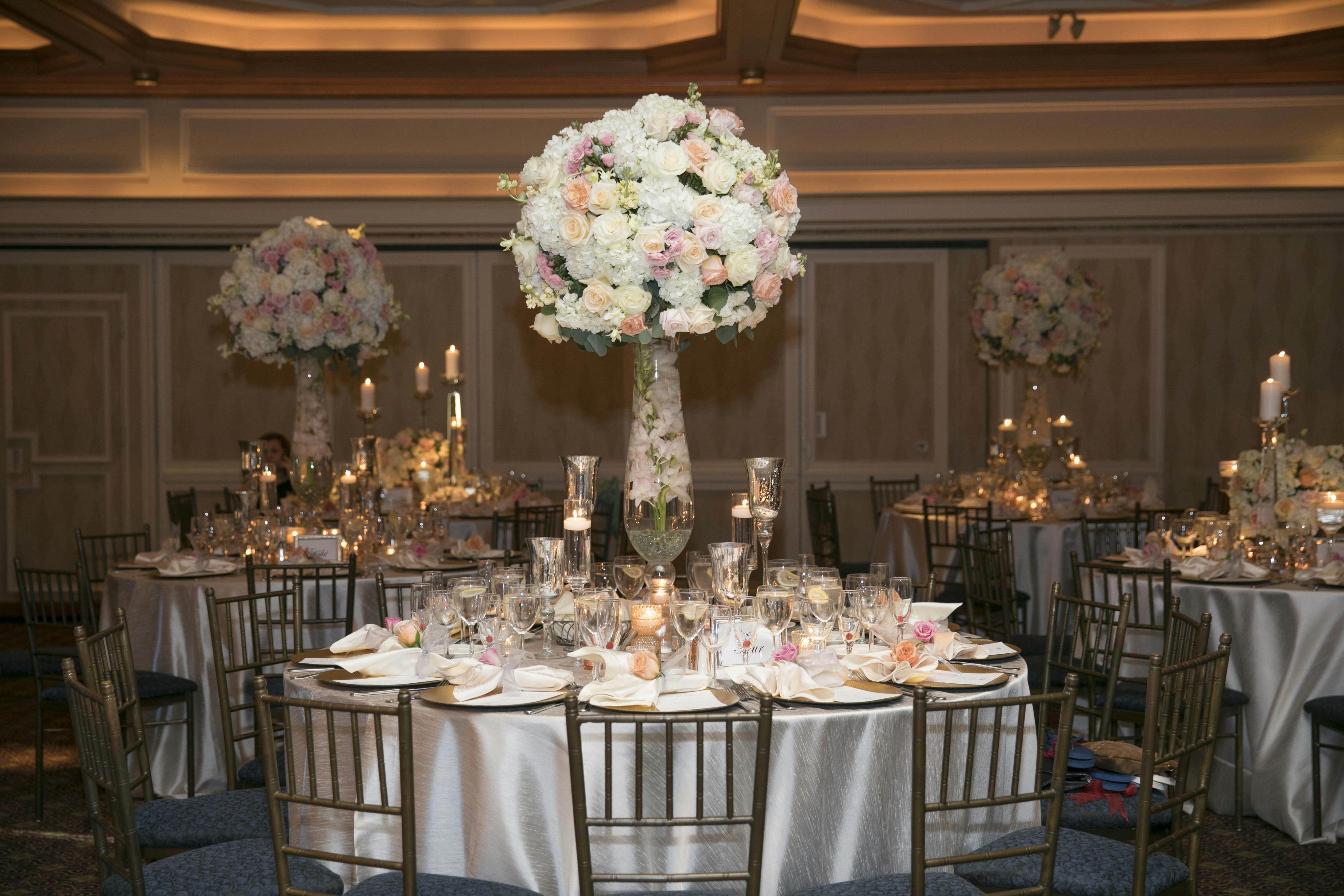 Shades Shutters Photography Milford Photographer All Events