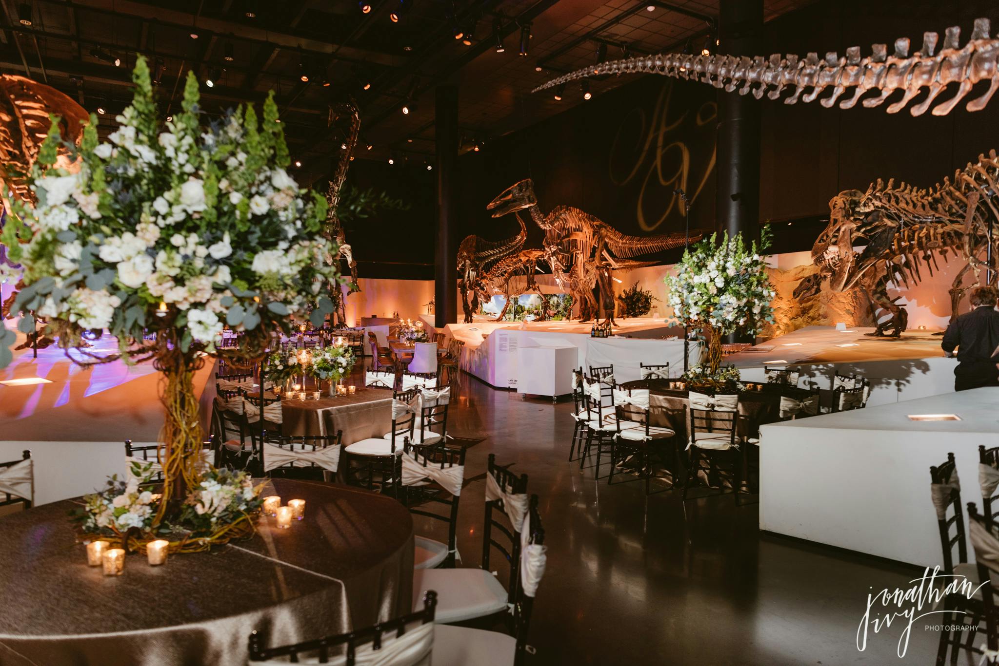 The Morian Hall of Paleontology Houston Museum of Natural Science