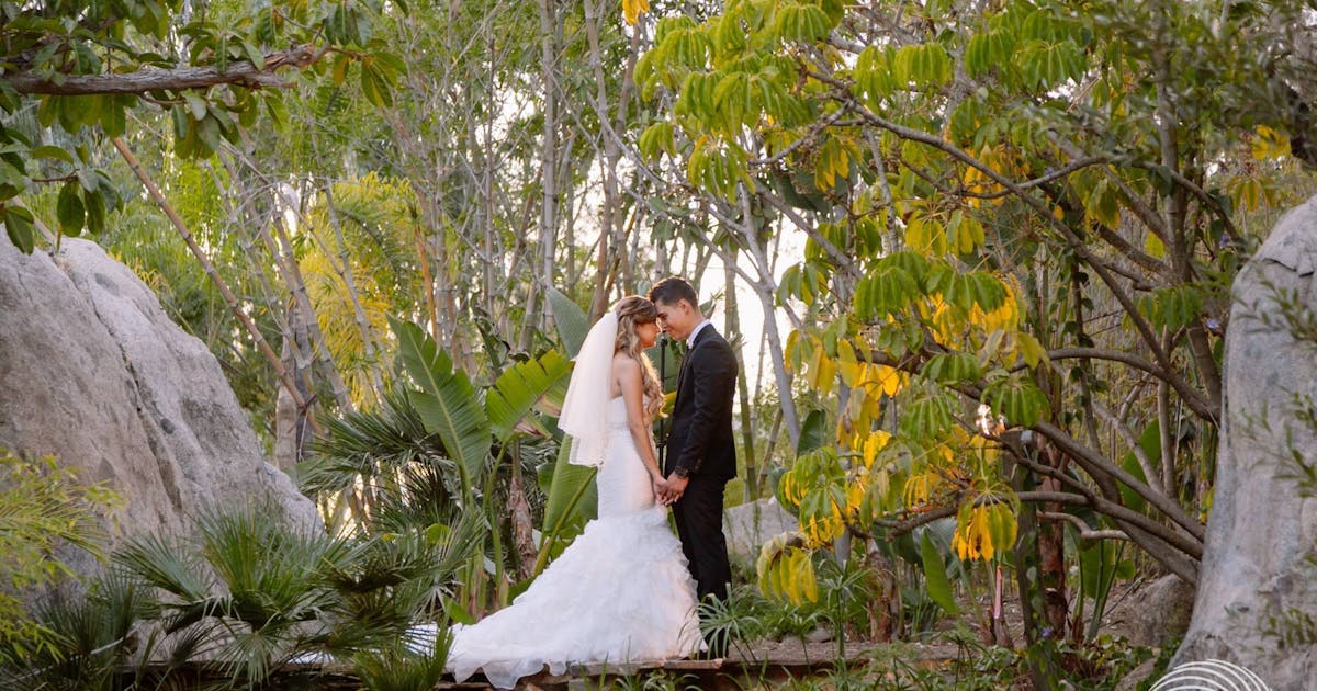 Paradise Falls Oceanside Venue All Events 50 Photos On Partyslate Paradise Falls Oceanside Venue All Events 50 Photos On Partyslate