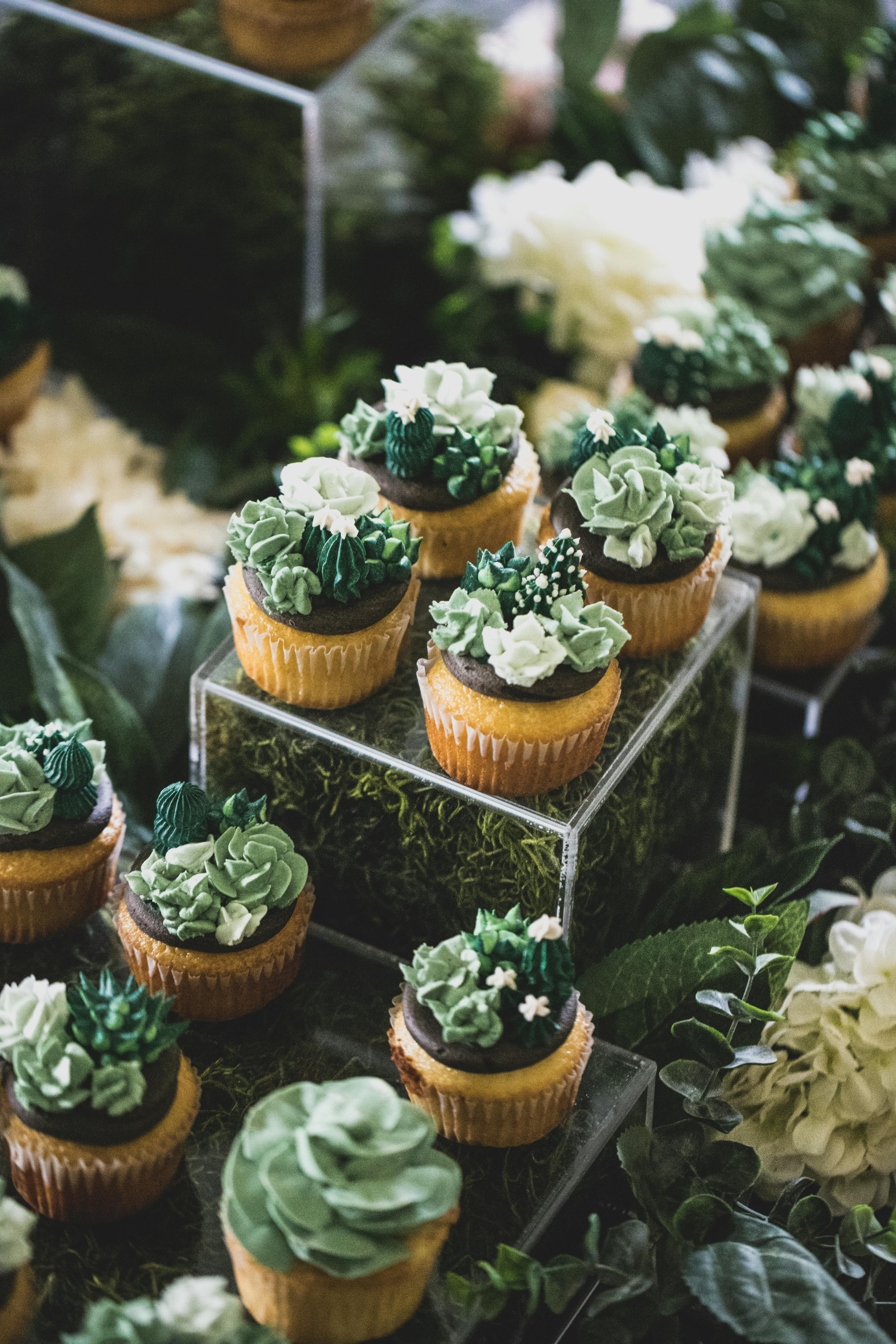 Featured photo from succulent dessert garden