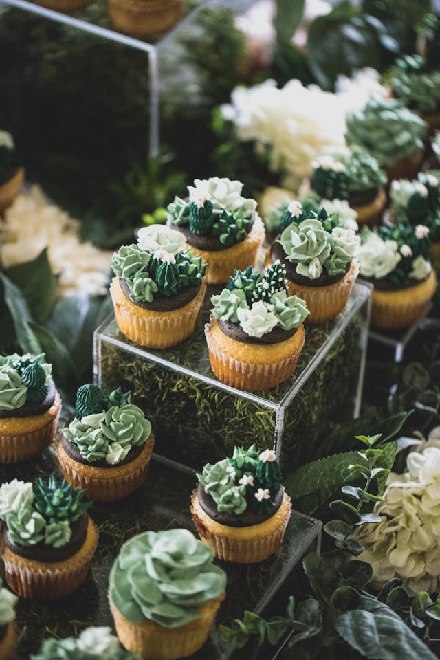 Featured photo from succulent dessert garden