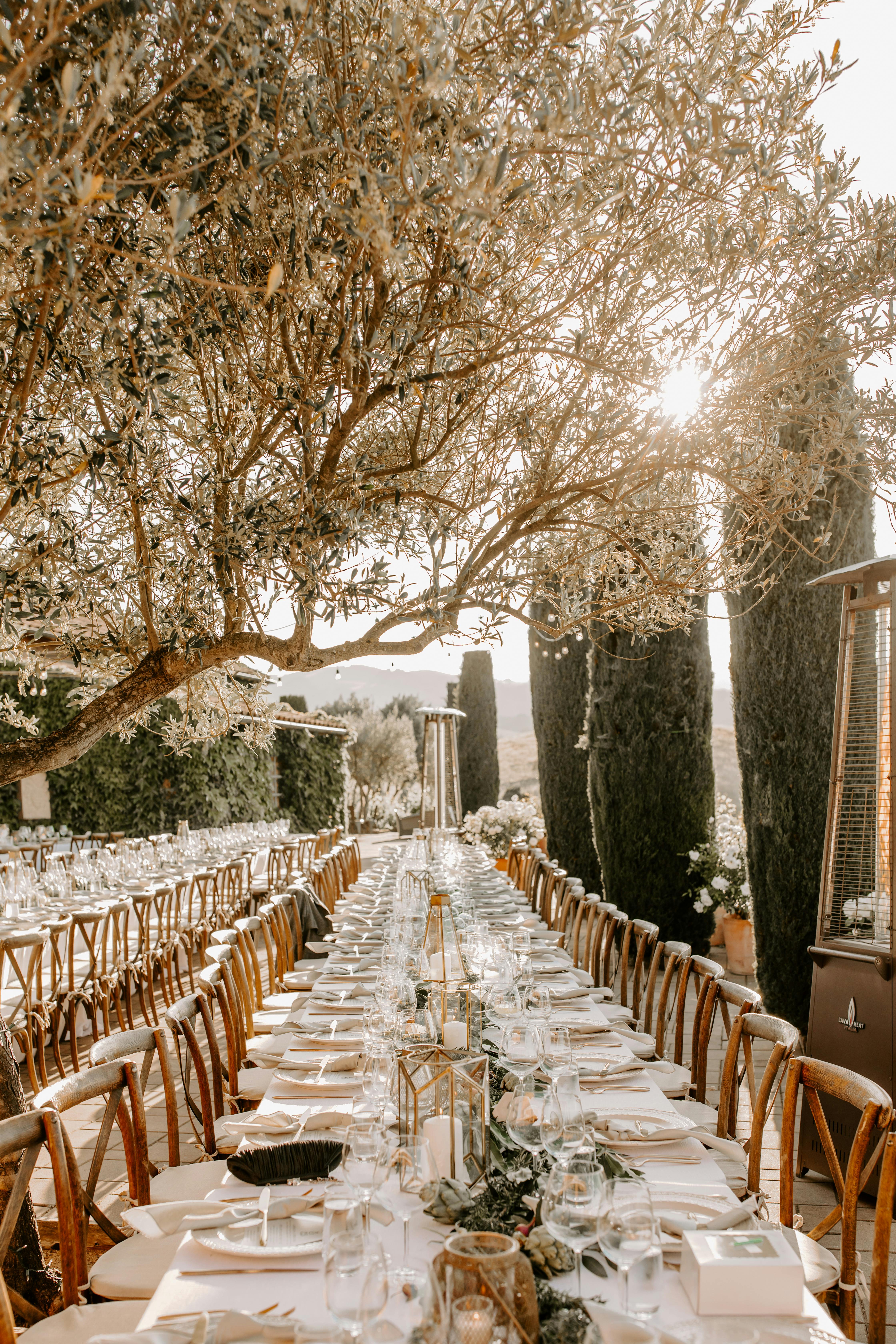 Saved Photo from Viansa Winery