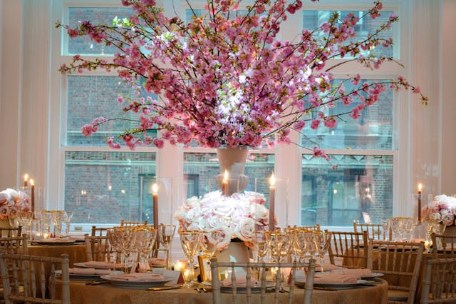 Featured photo from Cherry Blossom Bat Mitzvah at Carnegie Hall in New York