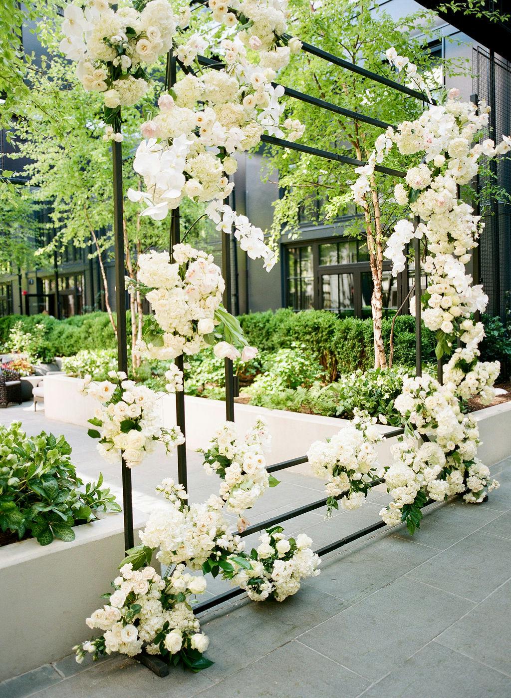 White orchids contrasted with greenery 