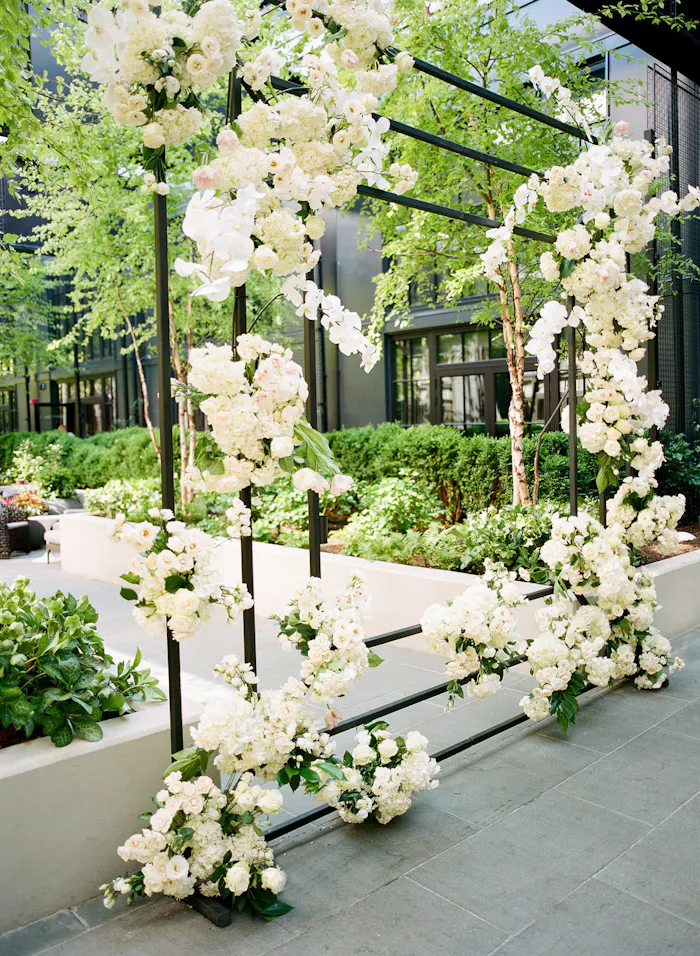 White orchids contrasted with greenery
