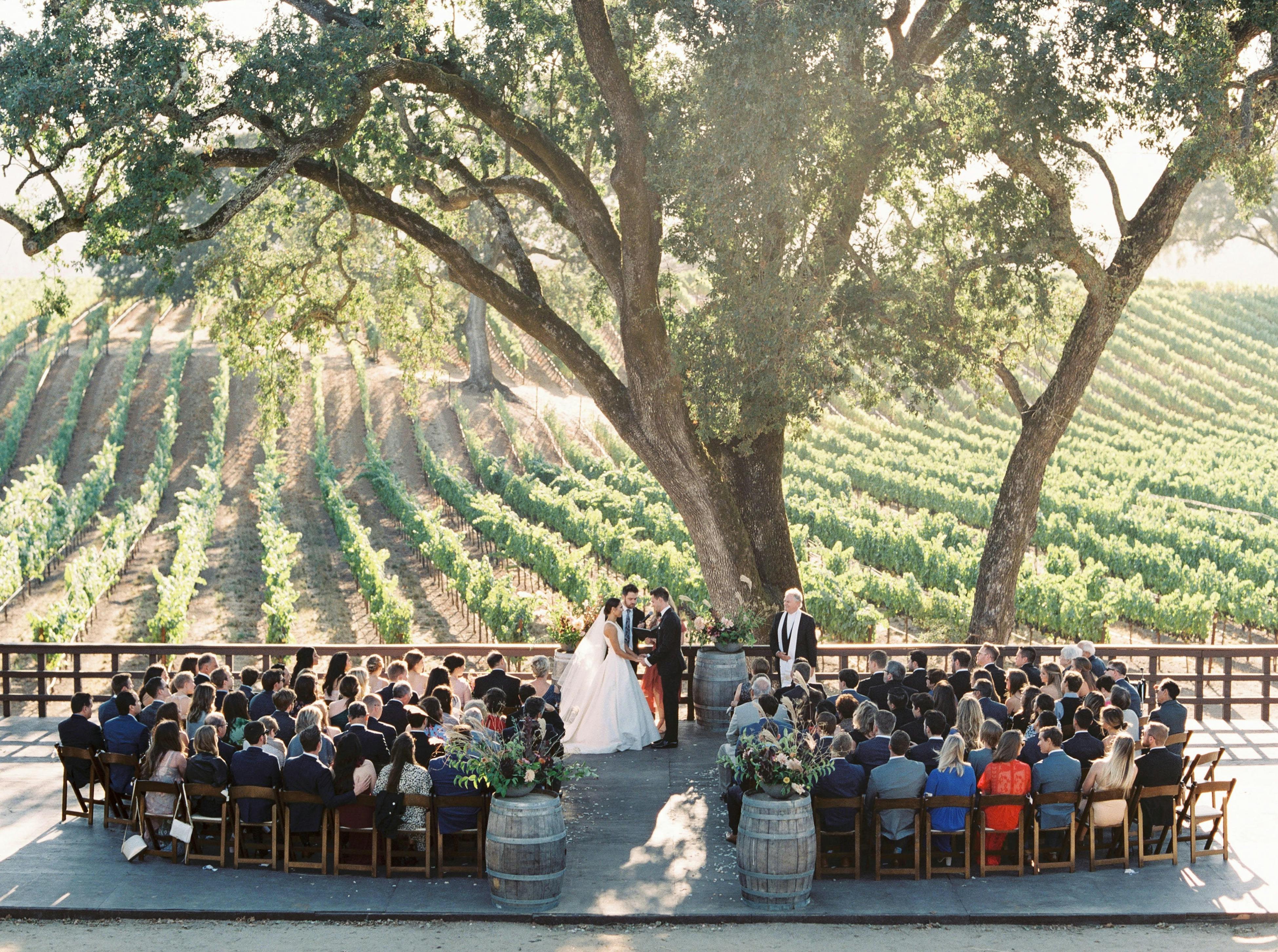 Romantic Vineyard Wedding at B.R. Cohn Winery in Glen Ellen, CA