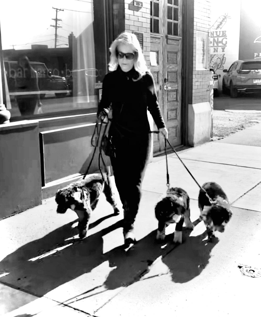 Featured photo from Kai, Nala & Leyla