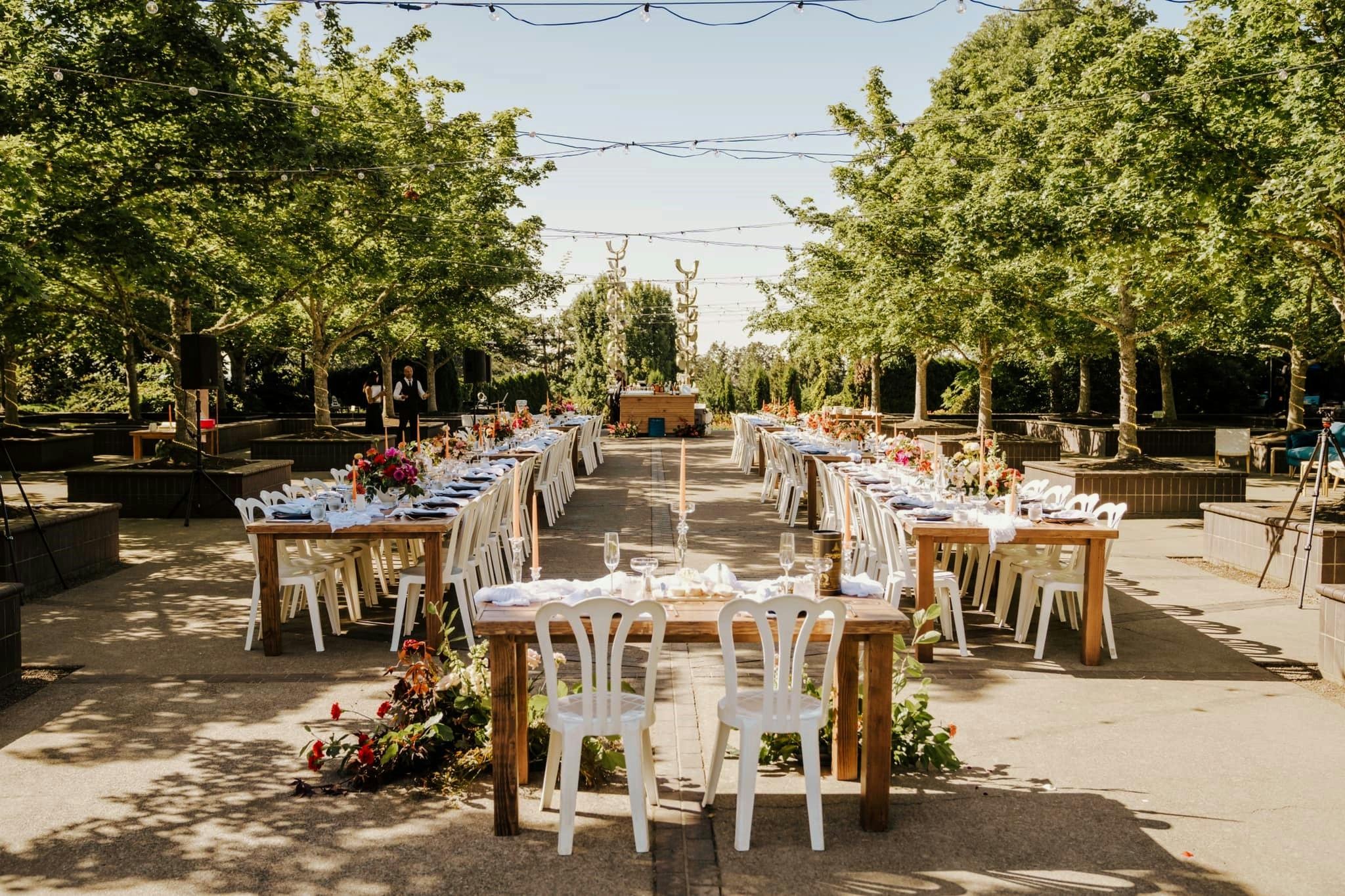 Featured photo from Bosque