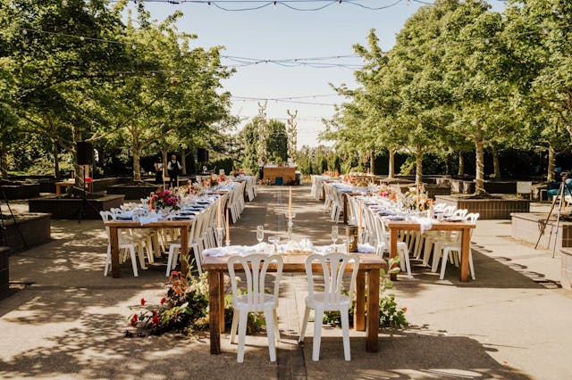 Featured photo from Bosque